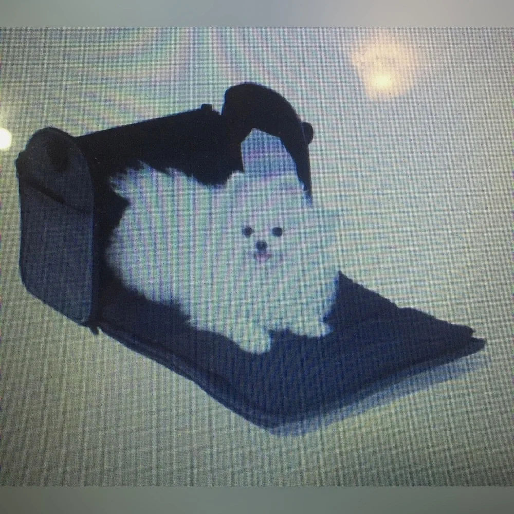 Airline Approved Pet Carrier NWB - Picture 6 of 10